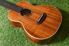 aNueNue AAA3 Tenor