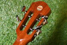 aNueNue AAA3 Tenor_6