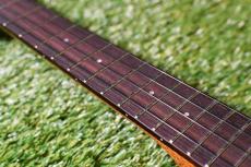 aNueNue AAA3 Tenor_7