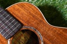 aNueNue AAA3 Tenor_10