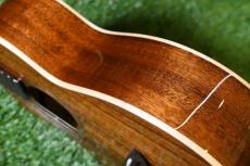 aNueNue AAA3 Tenor_14