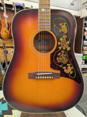 Epiphone Masterbilt Frontier Iced Tea Aged Gloss 【オール単板ボディ】 【オール単板ボディ】