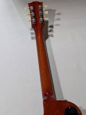 Gibson 2017 Limited Run Les Paul Standard "Rock Top" -Fossilized Flame- 【2017/USED】【3.80kg】_7