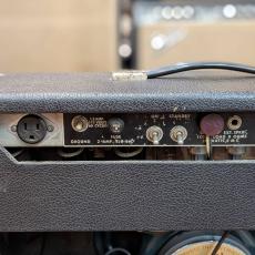 Fender 1975 Deluxe Reverb_5