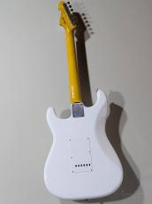 ATELIER Z L.E.S. NEXT Zymo Aged -White- #201075【3.38kg】_3