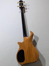 Zon Legacy Elite IV -Claro Walnut Top-【2008/USED】【4.04kg】_3