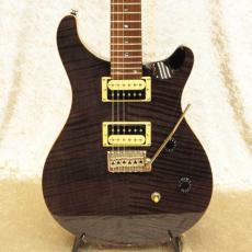 Paul Reed Smith [PRS] SE Custom 24