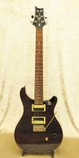 Paul Reed Smith [PRS] SE Custom 24_2