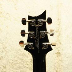 Paul Reed Smith [PRS] SE Custom 24_4