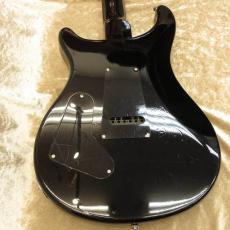 Paul Reed Smith [PRS] SE Custom 24_6
