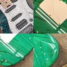 SCHECTER EX-IV-22-CTM-FRT_4
