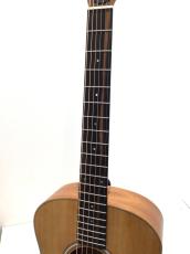 Taylor GS mini_4