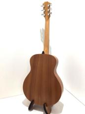 Taylor GS mini_6