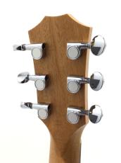 Taylor GS mini_7