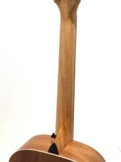 Taylor GS mini_8