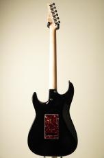 TOM ANDERSON The Classic -Black- [3.10kg]_4