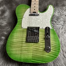 SCHECTER TE-CTM/LGB/M [2026 Special Edition]【現物画像】【最大36回分割無金利キャンペーン実施中】
