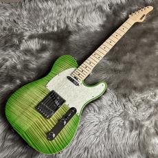 SCHECTER TE-CTM/LGB/M [2026 Special Edition]【現物画像】【最大36回分割無金利キャンペーン実施中】_2