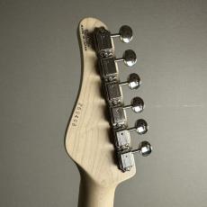 SCHECTER TE-CTM/LGB/M [2026 Special Edition]【現物画像】【最大36回分割無金利キャンペーン実施中】_9