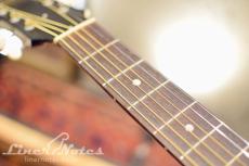 Gibson 2016 Monthly Limited 1960s J-45 w/L.R.Baggs Element VTC (Ebony)_5
