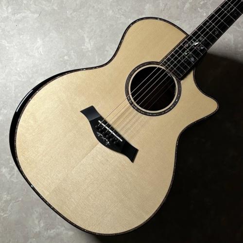 Taylor 914ce LTD RW/EGS