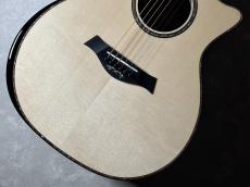 Taylor 914ce LTD RW/EGS_3