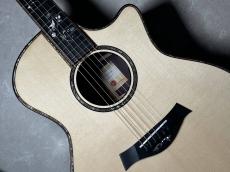 Taylor 914ce LTD RW/EGS_4