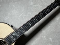 Taylor 914ce LTD RW/EGS_5