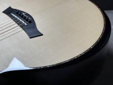 Taylor 914ce LTD RW/EGS_10