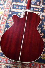 Takamine 【人気カラー】DMP551C WR #63090352【最大48回分割無金利・送料当社負担】_9