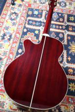 Takamine 【人気カラー】DMP551C WR #63090352【最大48回分割無金利・送料当社負担】_10