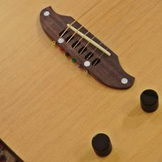 SCHECTER OL-FL-2 / SNTL_3
