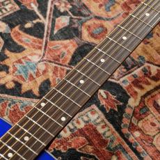 ARIA AF-201 BLS (Blue Shade) 【生産完了モデル】_5