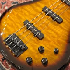 Ibanez GIO GSR280QA-TYS (Transparent Yellow Sunburst )_3