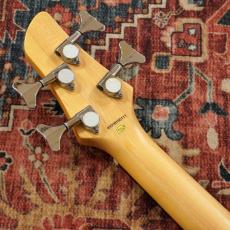 Aria Pro II IGB-STD MBS (Metallic Blue Shade) 【B級特価】_7