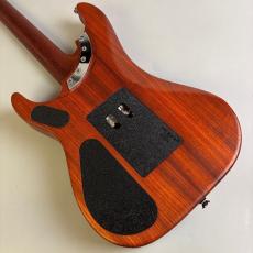 Washburn N4 Padauk USA_5