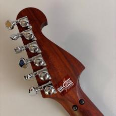 Washburn N4 Padauk USA_8
