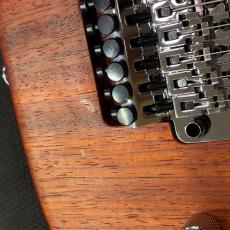 Washburn N4 Padauk USA_9