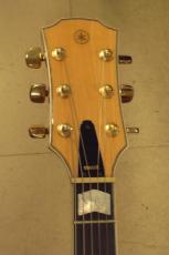 YAMAHA AE-18_5
