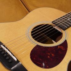 Eastman E1-OM_3