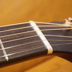 Eastman E1-OM_6