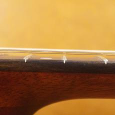 Eastman E1-OM_8