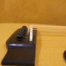 Eastman E1-OM_10