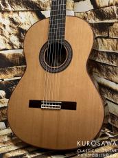 Paco Castillo パコ・カスティージョ 240C 杉・ローズウッド【日本総本店2F在庫品】_2