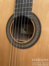 Paco Castillo パコ・カスティージョ 240C 杉・ローズウッド【日本総本店2F在庫品】_3