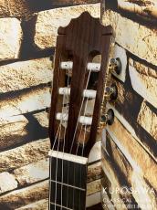 Paco Castillo パコ・カスティージョ 240C 杉・ローズウッド【日本総本店2F在庫品】_8