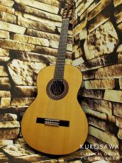 Paco Castillo パコ・カスティージョ CTM 203NE C 杉・ローズウッド【Narrow Neck】【日本総本店2F在庫品】