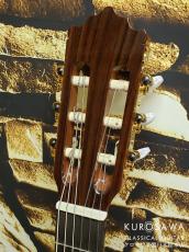 Paco Castillo パコ・カスティージョ CTM 203NE C 杉・ローズウッド【Narrow Neck】【日本総本店2F在庫品】_3