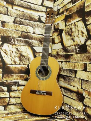 Paco Castillo パコ・カスティージョ 201 1/2 杉・サペリ 540mm ショートスケール【日本総本店2F 在庫品】