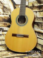 Paco Castillo パコ・カスティージョ 201 1/2 杉・サペリ 540mm ショートスケール【日本総本店2F 在庫品】_2